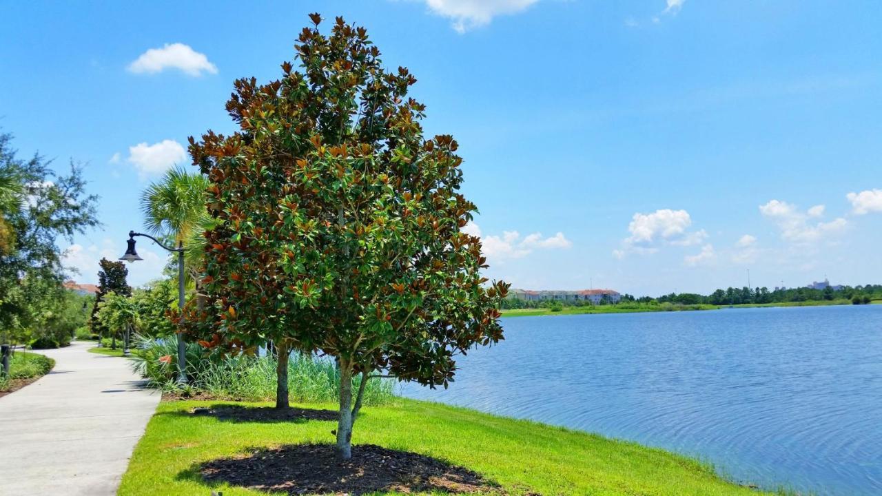 Gorgeous 1St-Floor, End Unit Condo W Lakeview Orlando Exterior photo